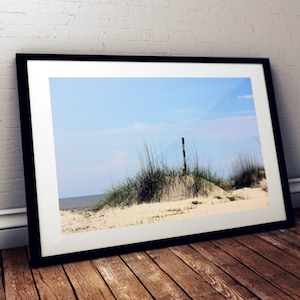 cumberland island, st marys, georgia, beach, sand dunes, beach grass, beach house art, beach house decor, photography, fine art print