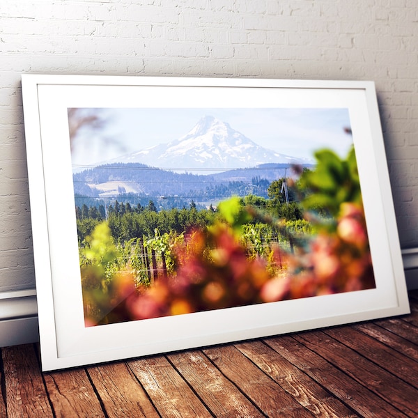 mount hood, winery, vineyard, mountains, flowers, oregon, pacific northwest, nature, travel photography, fine art print