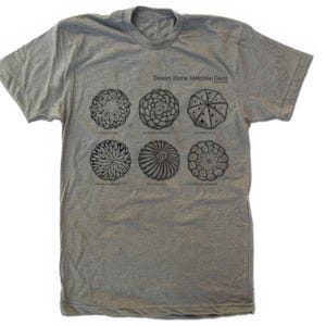 Camiseta de cactus - Flora del desierto, peyote, lofófora, unisex, tallas S-XL, camiseta de naturaleza con diseño original de suculentas.