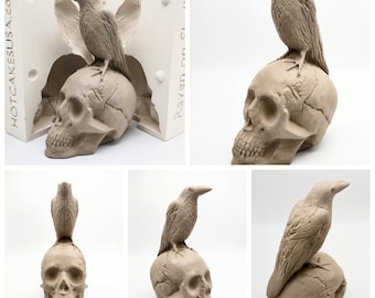 Raven On Skull mold ceramic slip casting plaster molds
