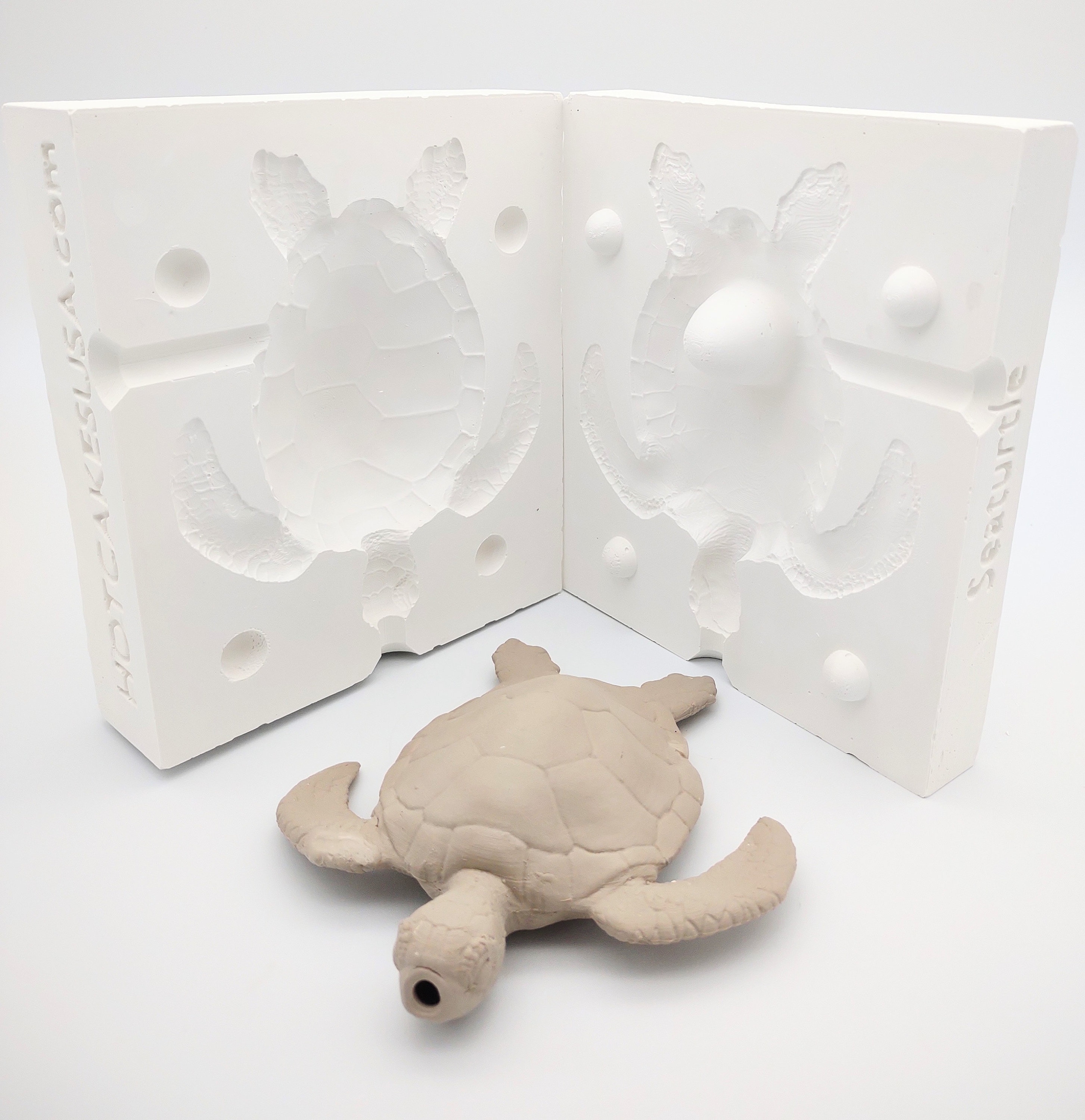 Egurs Plaster Mold Concrete Pan, Turtle Shape : : Arts & Crafts