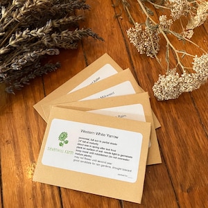 Regional Native Wildflower Seed Mix for Bees & Butterflies Gift Bag