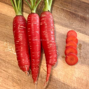 May include: Three whole red carrots and five slices of red carrot on a wooden cutting board. The carrots have white stripes and the text "SevenHill Farm" is visible on the board.