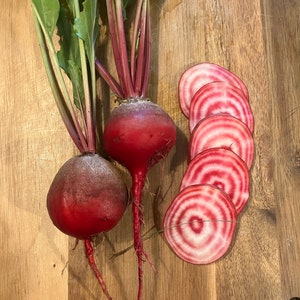Chioggia Beet Root Heirloom Vegetable Seeds