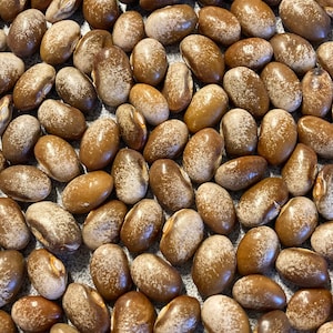 May include: A close-up image of a large collection of brown beans with white speckles. The beans are arranged in a random pattern, creating a textured background.