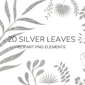 May include: A set of 20 silver leaf clipart images. The leaves are in various shapes and sizes, and they are all outlined in black. The text "20 SILVER LEAVES CLIPART PNG ELEMENTS" is written in black at the center of the image.