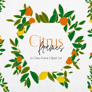 May include: A set of 10 digital clipart frames featuring citrus fruits and leaves. The frames are in a hexagon shape and are perfect for adding a touch of nature to your designs.