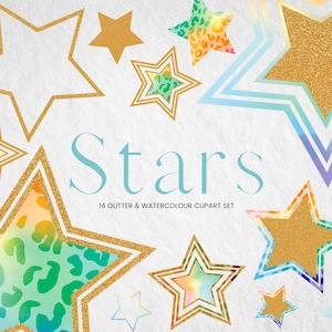 Regenboog aquarel en glitter ster clipart, gouden glitter PNG sterren, aquarel Leopard Animal Print digitale ster, gouden nachtelijke hemel clip art