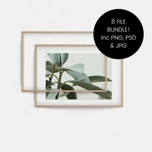 May include: A framed print of a botanical illustration featuring a close-up of a green leaf with a light green background. The print is in a double frame with a light wood finish.
