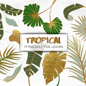 17 Tropical and Gold Foil leaves clip art, Green and Olive leaf, Palm, holiday transparent png clipart, commercial use, wedding invitations
