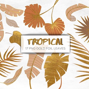 17 Tropical and Gold Foil leaves clip art, Brown and Beige leaf, Palm, holiday transparent png clipart, commercial use, wedding invitations