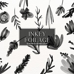 Clipart de flor aquarela preta, clipart botânico, pacote floral PNG, aquarela transparente, impressão sob demanda, licença comercial