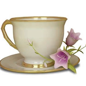 May include: A white teacup and saucer with a gold rim. The teacup has a delicate floral design and is decorated with pink flowers.