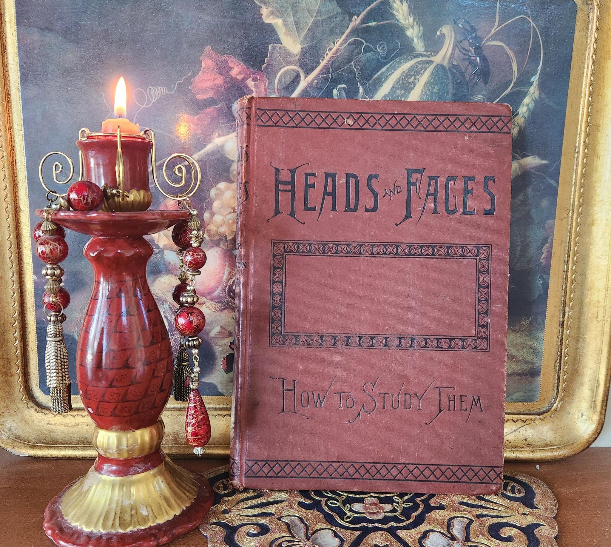 HEADS AND FACES By Nelson Sizer and H.S. Drayton, 1885