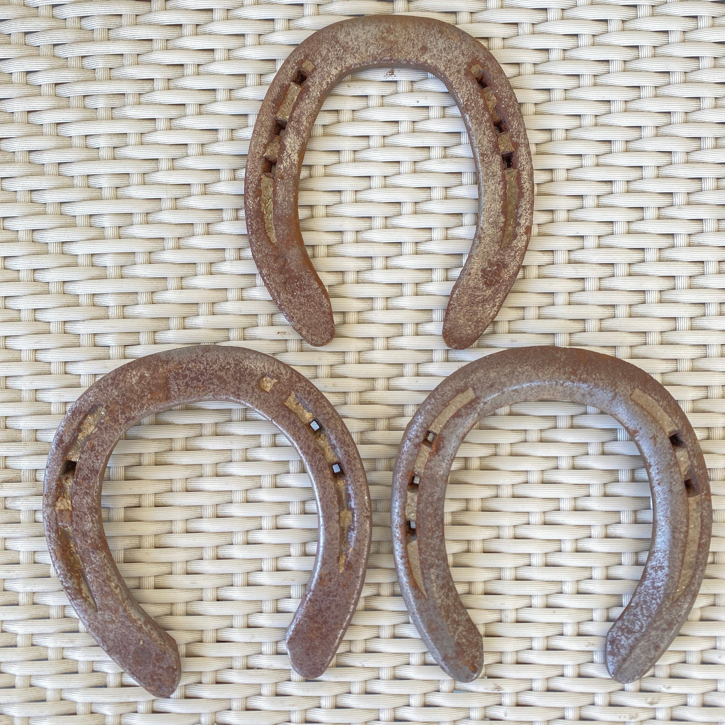 Authentic Used Horse Shoe From Horse to You Use for Etsy