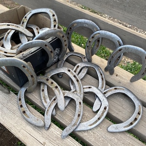 Authentic Used Horse Shoe | From Horse to You | Use for Crafts, Good Luck, Decor