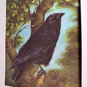 Crow Wall Art -  Art Print -  Raven or Crow “In The Apple Tree”