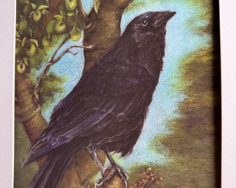 Muurkunst kraai - Kunstafdruk - raaf of kraai "In de appelboom"