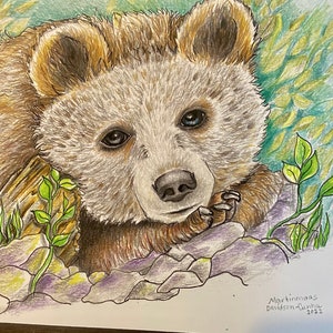 Bear Art - Art Print