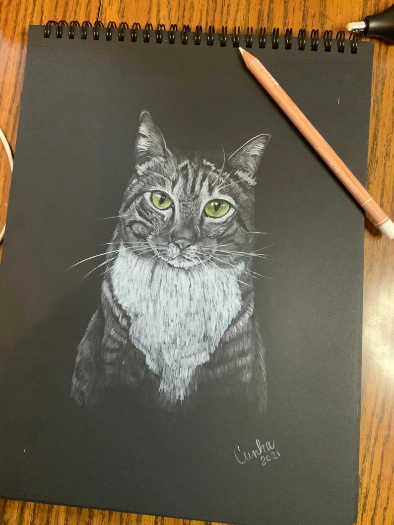 Custom Hand Drawn Cat Portraits White Pencil on Black - Etsy