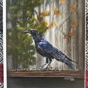 Rainy Day Crow -  Crow Art Print - Art Print - Crow and Raven Art