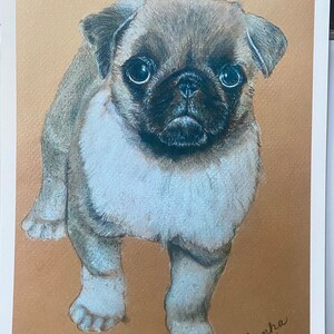 Print of a Pug Dog