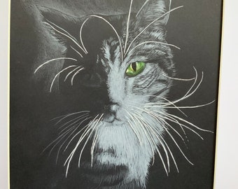 Cat Art - White Pencil on Black Paper - Cat Lovers Art - Cat Whiskers
