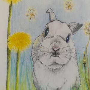 Bunny Rabbit and Dandelions Art Print. - Rabbit Art