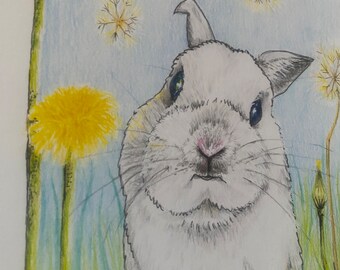 Bunny Rabbit and Dandelions Art Print. - Rabbit Art