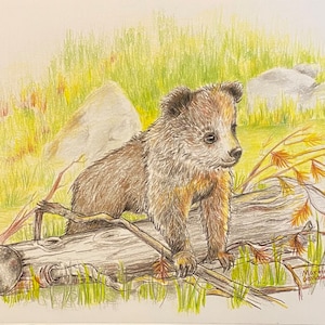 Little Bear Playing - Art Print