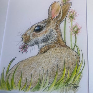 Rabbit Art Print - Prints of Original Art - Bunny Rabbit Art