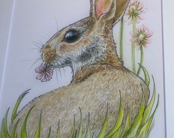 Rabbit Art Print - Prints of Original Art - Bunny Rabbit Art
