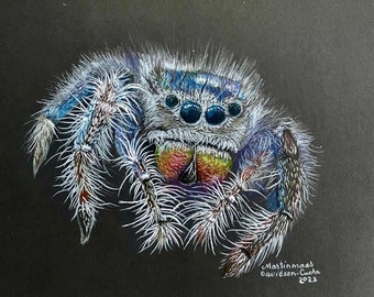 Spider Art -  Spider art prints