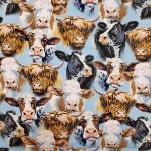 FABRIC Fancy Cows Highland cows cattle 100% quilt cotton I SPY  1/2yd/yd/FQ crafts kids decor bowl cozy pillows baskets appliques aprons
