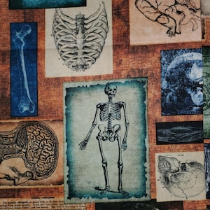 May include: Anatomy-themed fabric featuring illustrations of the human skeletal system, rib cage, brain, and heart. The images are printed on aged-looking paper with a blue and brown color scheme. The fabric has a vintage, medical aesthetic.