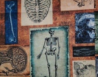 Stof Anatomie 101 BONES Skeletradiologie 100% premium katoen FQ 1/2 Yd/yd quilts kussendecor schort I Spy Craft Scrub Tops/Cap Dr gift