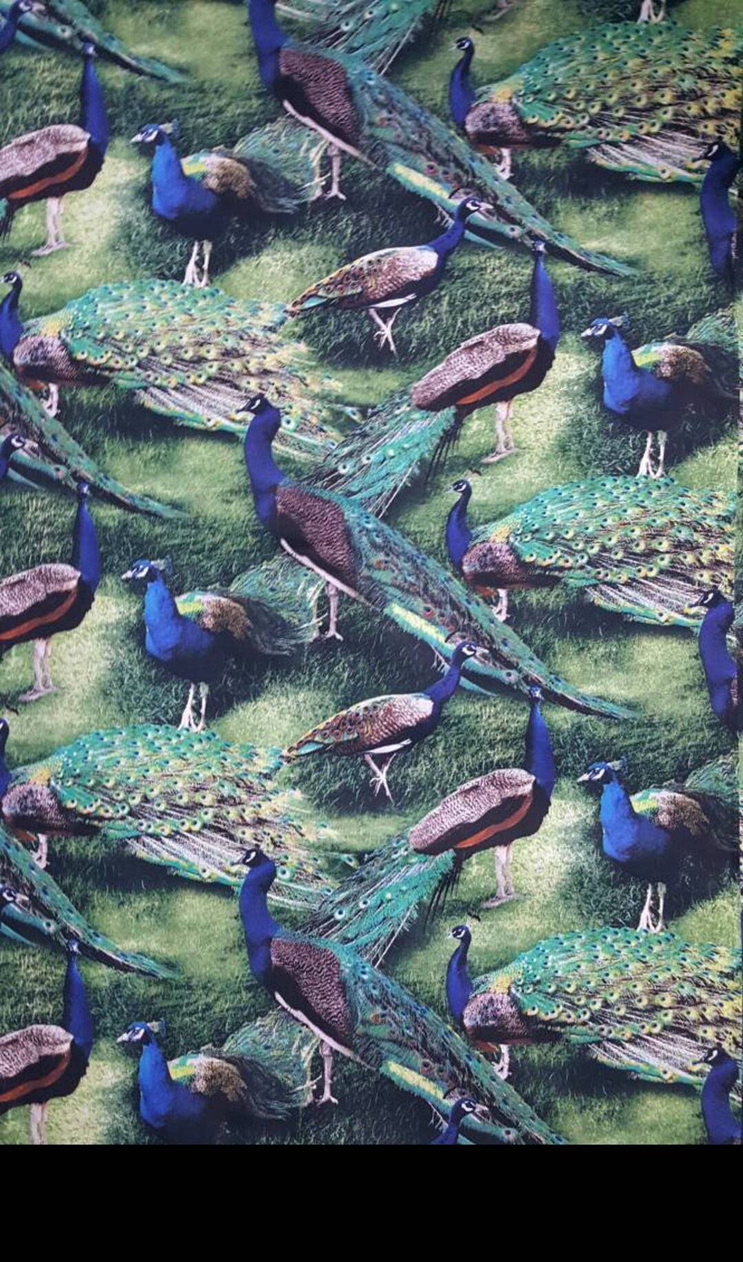 Scrub Tops Peacocks Exotic IV Scrubs Classic Vneck Especially Tailored