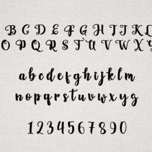 May include: A black script font alphabet display featuring uppercase letters A through Z, lowercase letters a through z, and numerals 0 through 9. The characters are presented in a flowing, cursive style against a light, textured background.