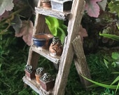 Miniature Step Ladder with Plant Pots
