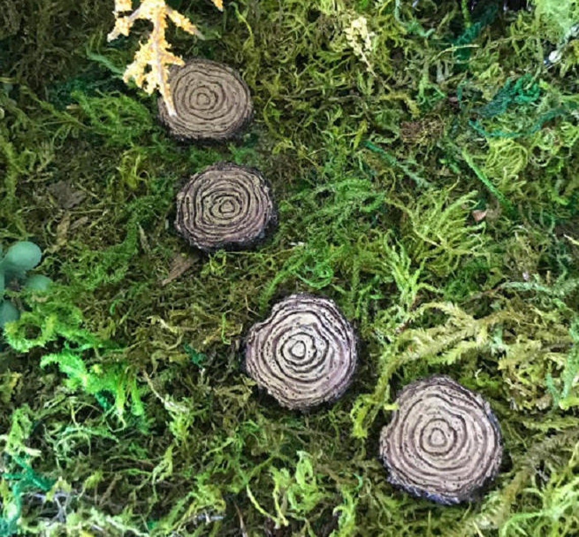 Miniature Tree Stump Stepping Stones Set of 4 Etsy