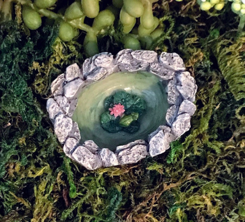 Miniature Teeny Frog Pond