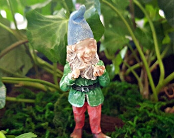Miniature Teeny Ronnie the Gnome