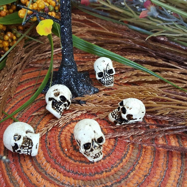 Miniature Skulls - Set of 5