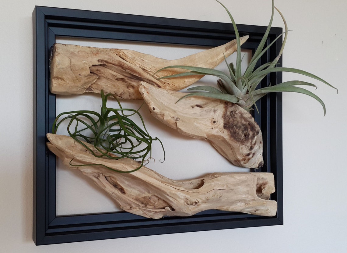 8 x 10 Driftwood Branch Art. Wood Art. Wall Air Etsy