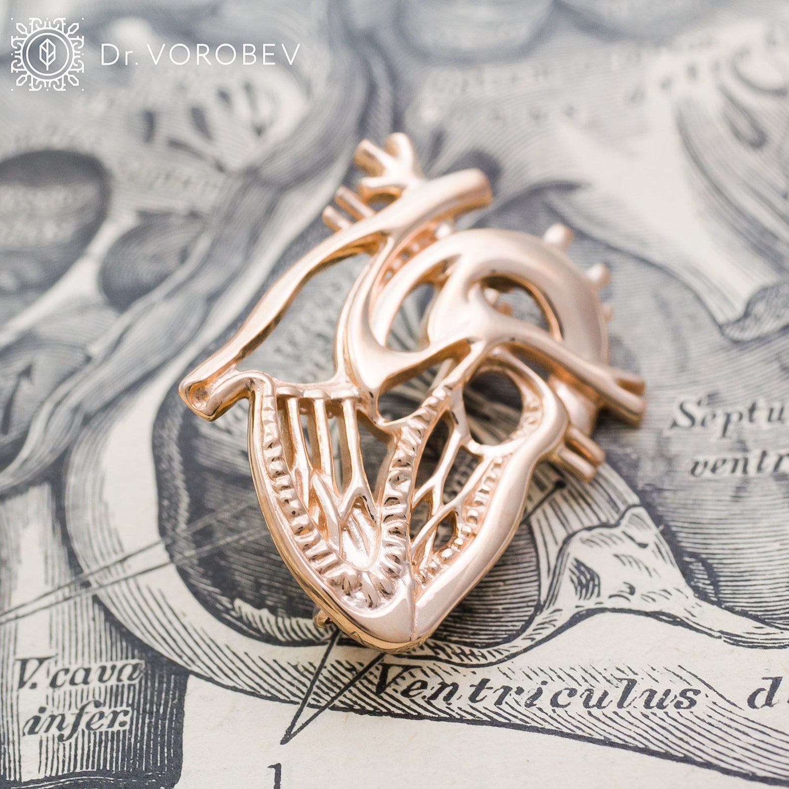 Anatomical Heart Broochmedical Student Giftmedical Etsy