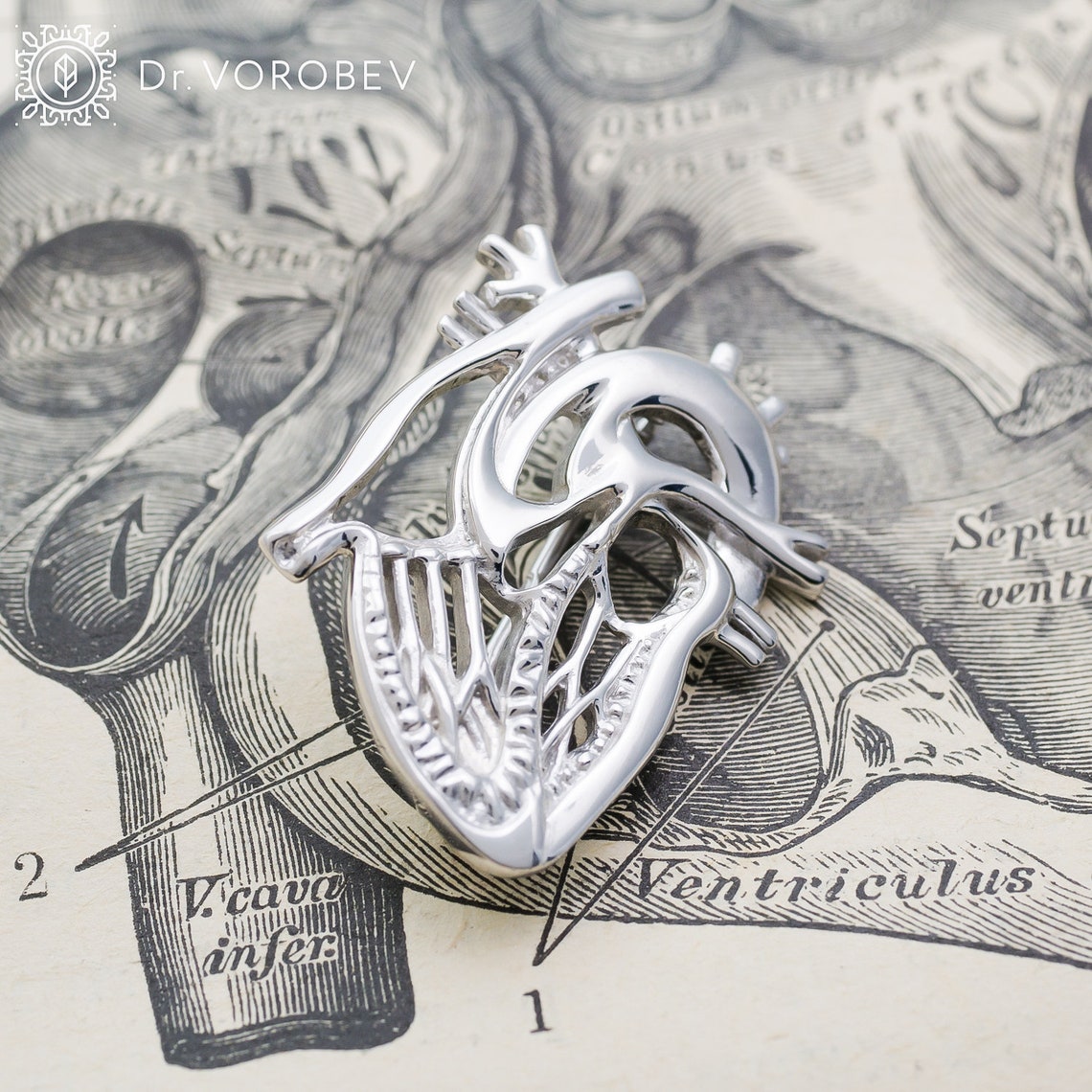 Anatomical Heart Broochmedical Student Giftmedical Etsy