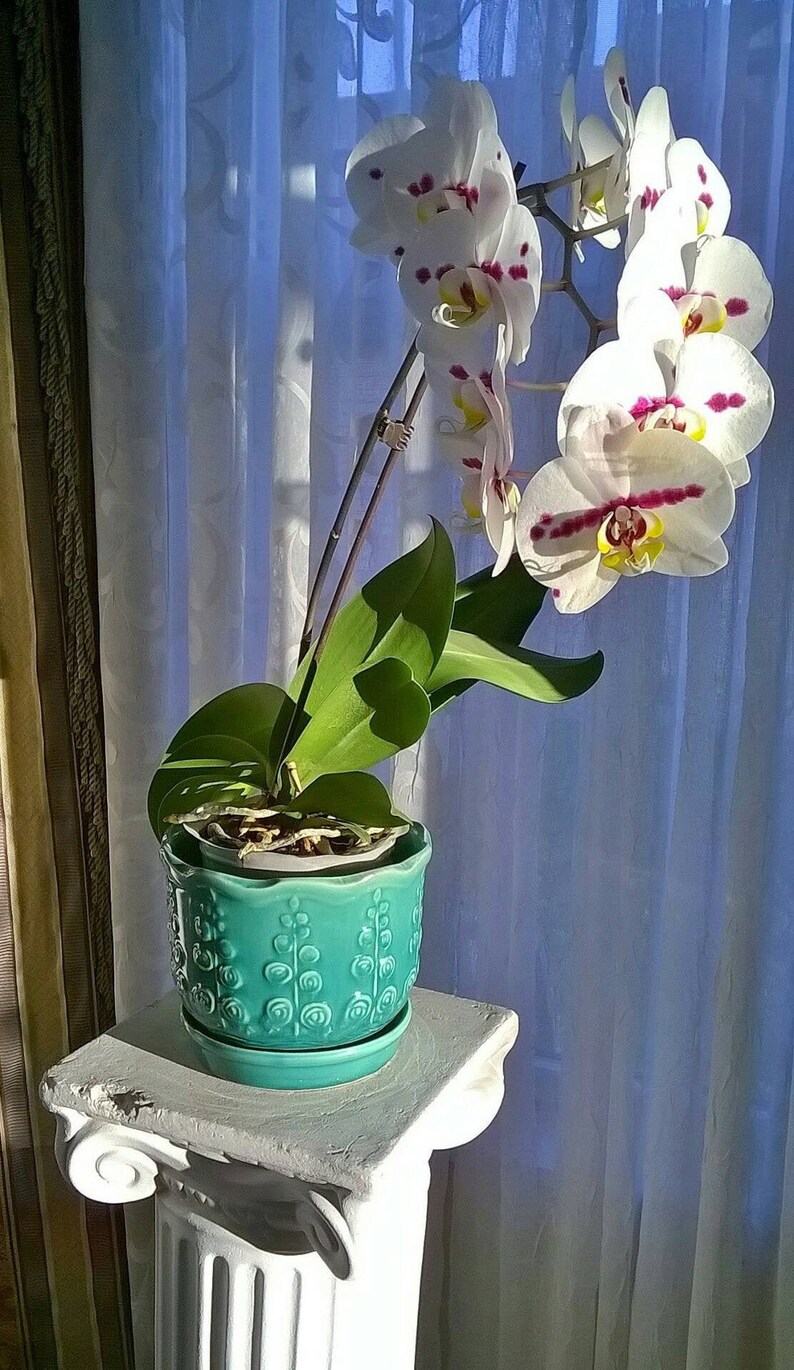Brush McCoy Pottery Vintage Planter 1930/'s Sylvan Line Hollyhocks Turquoise Planter Attached Saucer