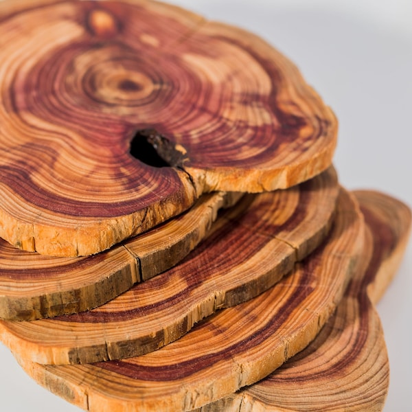 Red Cedar Wood Slice Coasters | Rustic Tree Slice Wooden Coasters | Custom Wedding, House Warming & Company Gifts