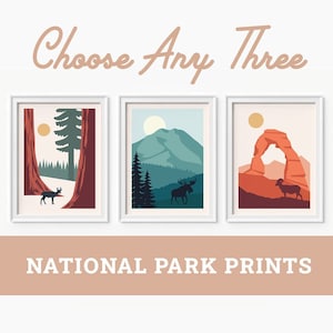Money Saving Offer - Any 3 National Park Prints, Art Travel Poster , National Park Poster