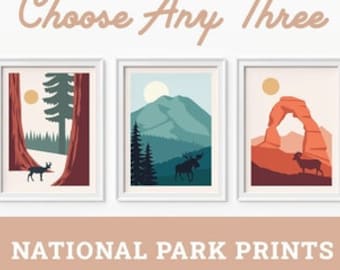 Money Saving Offer - Any 3 National Park Prints, Art Travel Poster , National Park Poster